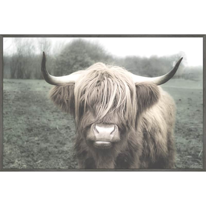 Shaggy Cattle Hair Floater Framed Print on Canvas