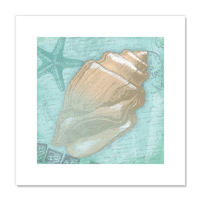 Nautical Shells II - Blue - 16 x 16