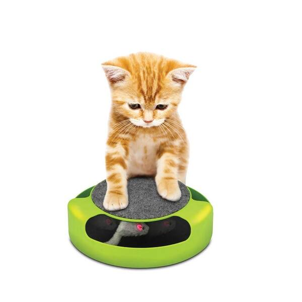 Shop Novelty Feline Frenzy Pet Game Overstock 28948998