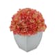 Option Coral
