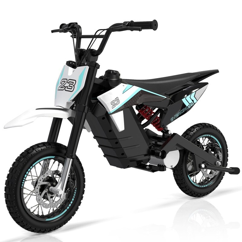 Cheap e motorcycle sale