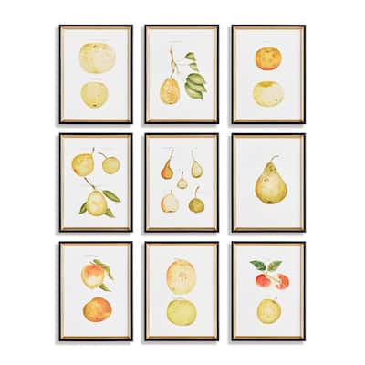 Assorted Fruits Study