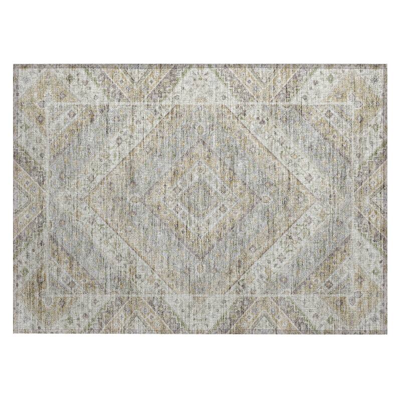 Machine Washable Indoor/Outdoor Traditional Ali Chantille Rug