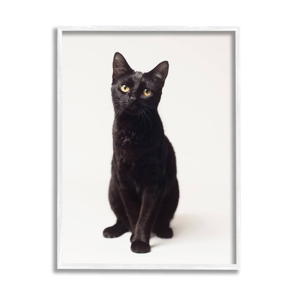 Stupell Cute Black Cat Expressive Eyes Pet Portrait Framed Giclee Texturized Art by Marika Moffit