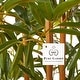 preview thumbnail 3 of 2, Pure Garden Faux Potted 6-foot Indoor Bamboo Plant