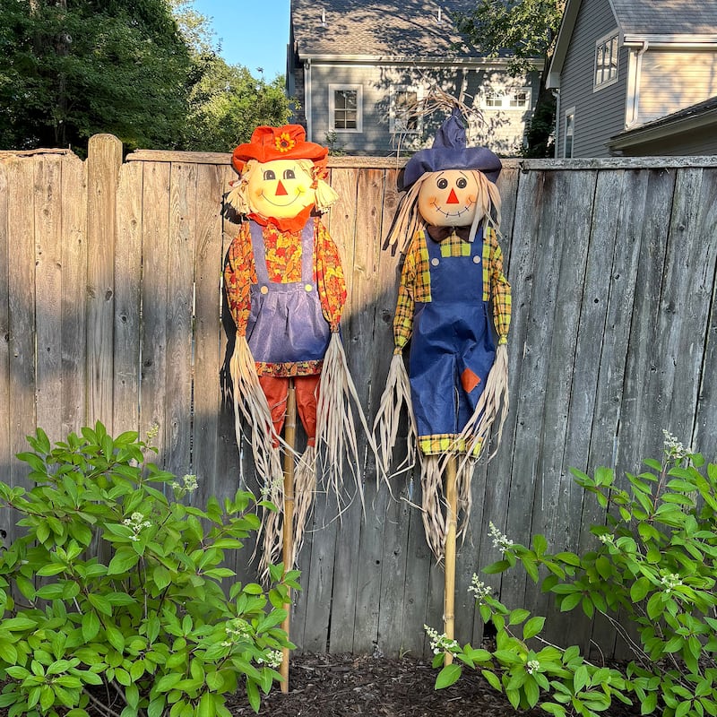 80" Outdoor Fall Harvest Scarecrow on Pole Yard Stake, Set of 2 - 80