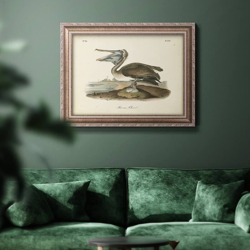 Audubons Brown Pelican Premium Framed Canvas- Ready to Hang