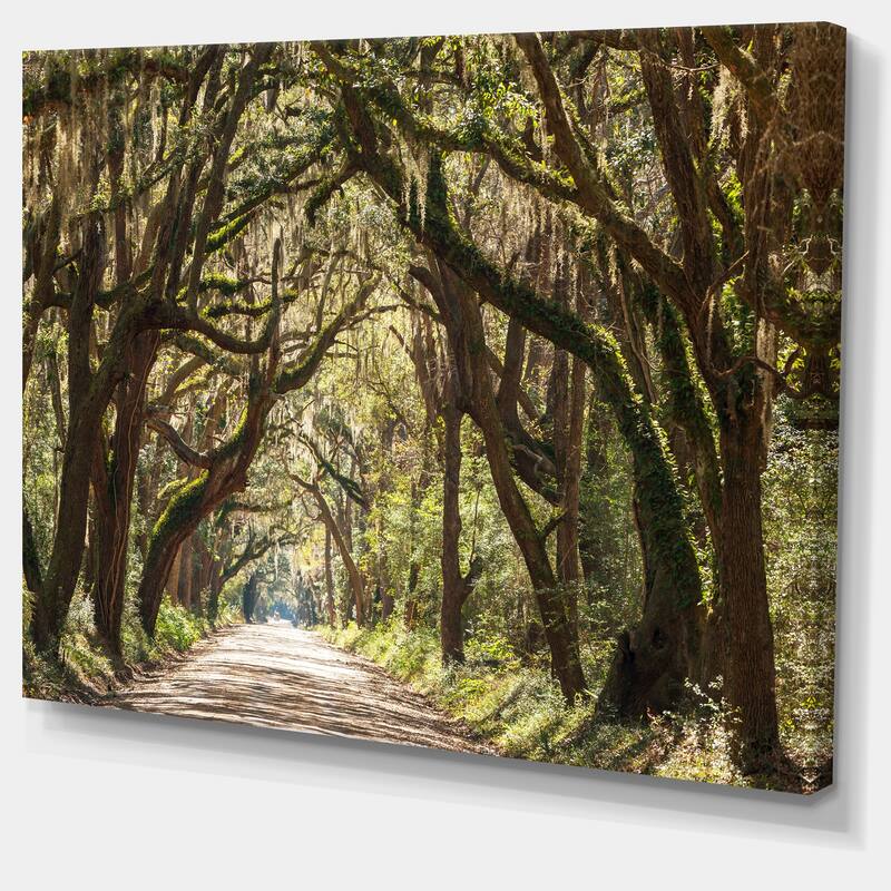 Designart "Trees Tunnel in Botany Bay" Landscape Print Wall Art