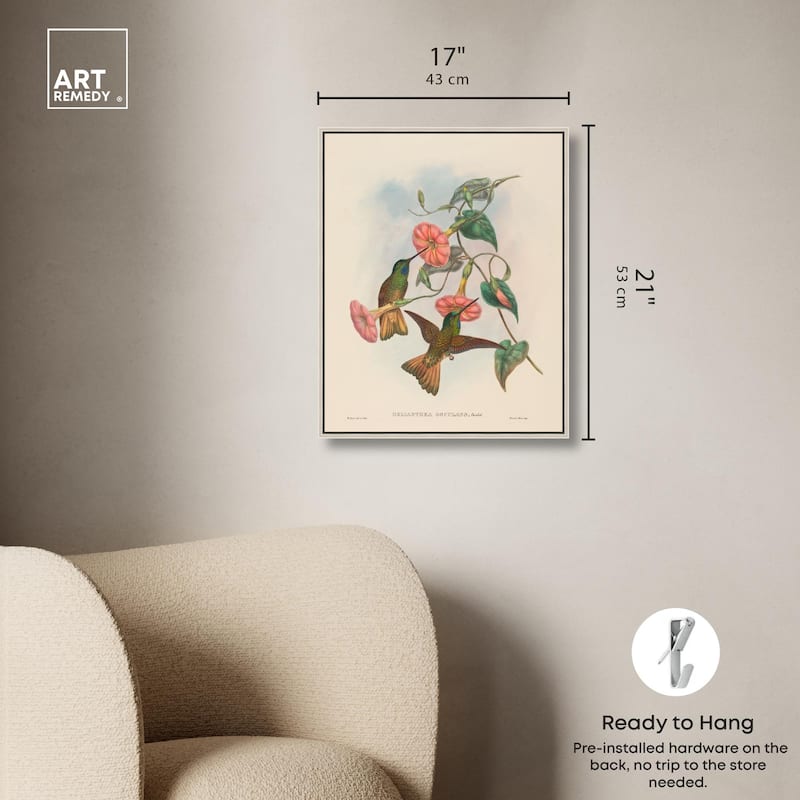 Gould's Hummingbirds Canvas by Art Remedy