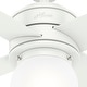 preview thumbnail 45 of 48, Hunter 52" Hepburn Ceiling Fan with LED Light Kit and Wall Control - Vintage, Mid-Century Modern, Transitional