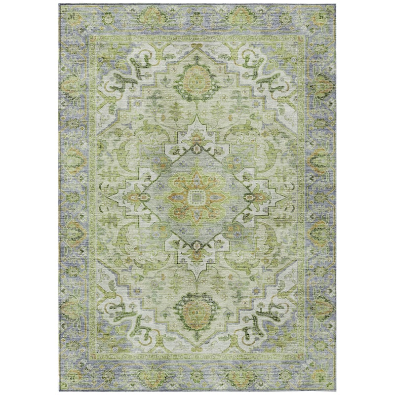 Machine Washable Indoor/Outdoor Traditional Vintage Chantille Rug