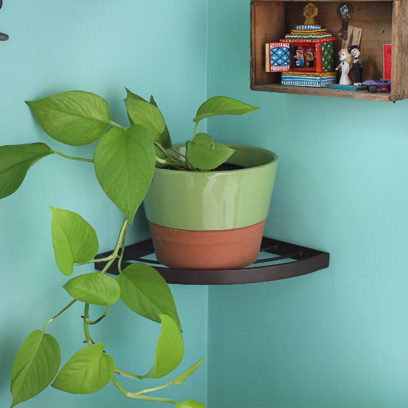 Achla Designs 11.8" W Quarter-Round Roman Bronze Wrought Iron Corner Wall Plant Shelf, Powder Coated Finish