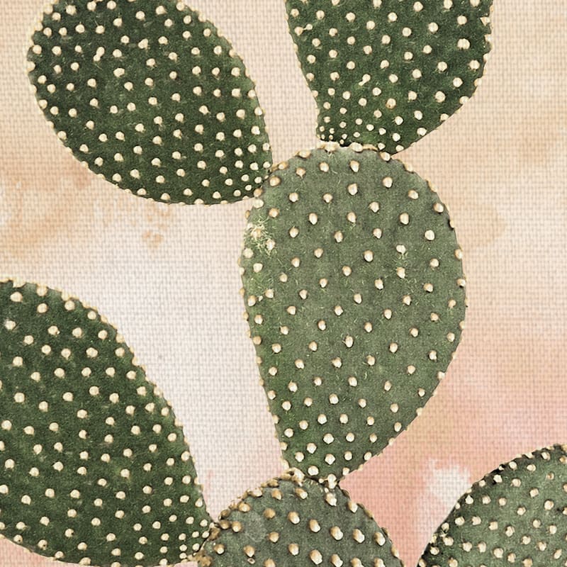 Desert Wash Coral I Canvas Art Print