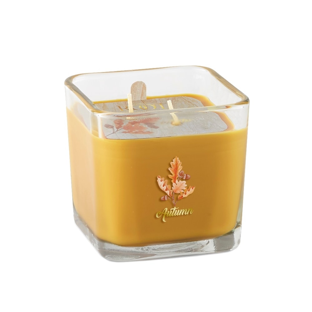 https://ak1.ostkcdn.com/images/products/is/images/direct/1a8a9b6b6ccf1b4bab53642f2f3240816ce72ef0/Fall-Square-10.5-oz-2-Wick-Jar-Candle---Autumn.jpg