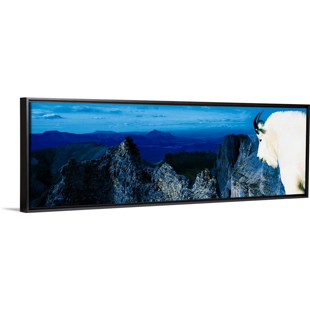 Shop Mountain Goat Yukon Territory Canada Black Float Frame