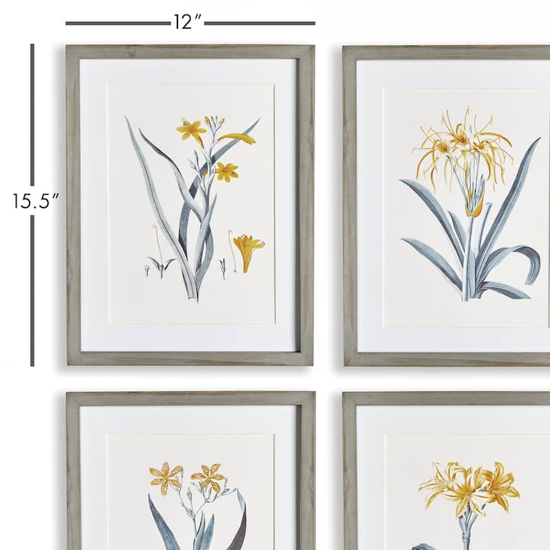 daffodil prints, set of 4