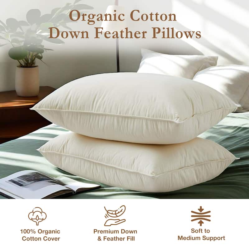 Set of 2 100% Organic Cotton Down Feather Pillow-in-a-pillow Design Bed Pillow - White