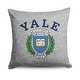 preview thumbnail 4 of 18, NCAA Ivy League 16 Inch Sweatshirt Pillow 16x16 inches - Yale Bulldogs