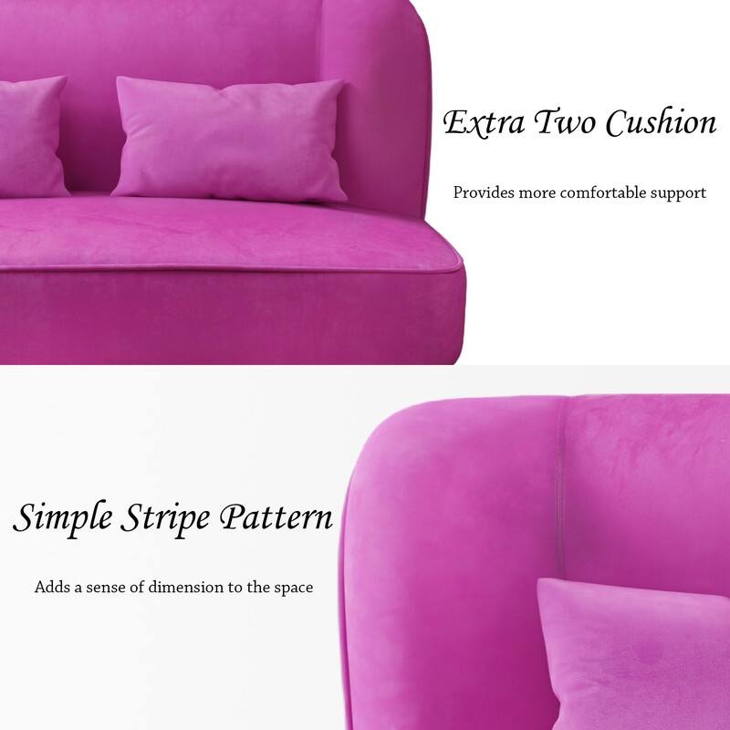 Two Pillows Velvet Upholstered Metal Loveseat