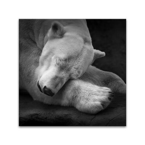 'On My Pillow' Wrapped Canvas Wall Art by Andreas Krinke