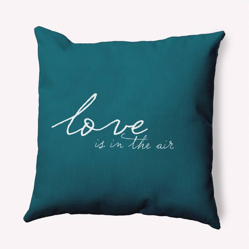 Love in the Air Valentine's Day Decorative Indoor/Outdoor Pillow - 20" x 20" - Teal Apetite