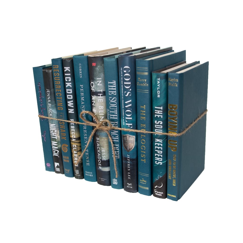 Books Blue Decorative Accessories: Winter Spruce Mixed Media ColorPak