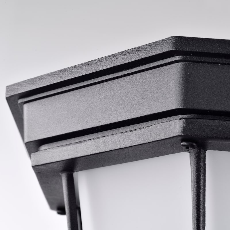 LED Spider Cage Fixture Black Finish with Frosted Glass
