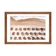 preview thumbnail 7 of 18, iCanvas "Umbrellas on Beach V" by Radu Bercan PFA Walnut - 16x24x1
