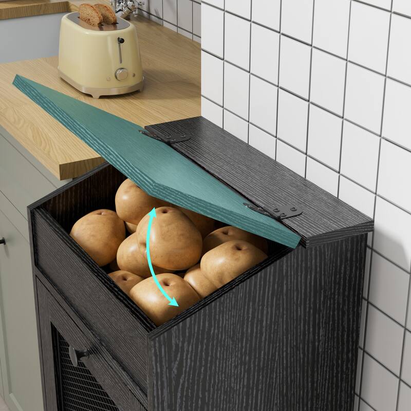 Vintage 2-Door Storage Cabinet Multi-Tier Organizer