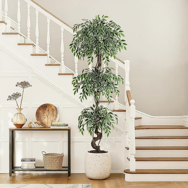 6FT Ficus Tree White Ceramic Planter Pebbles & Moss - Bed Bath & Beyond -  44036231