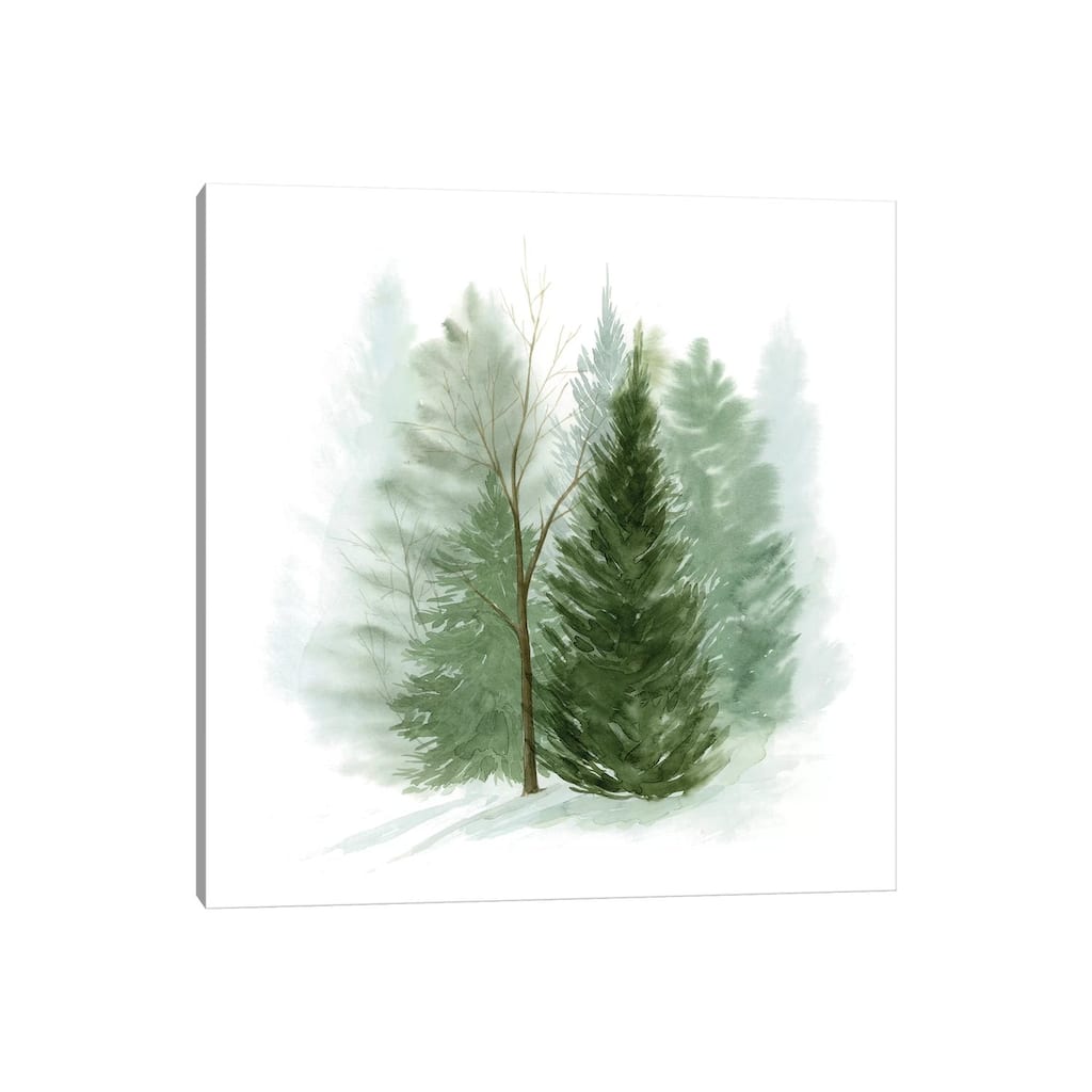 iCanvas "Walk in the Woods I" by Grace Popp Canvas Print