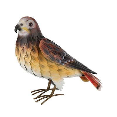 Red Tail Hawk Decor
