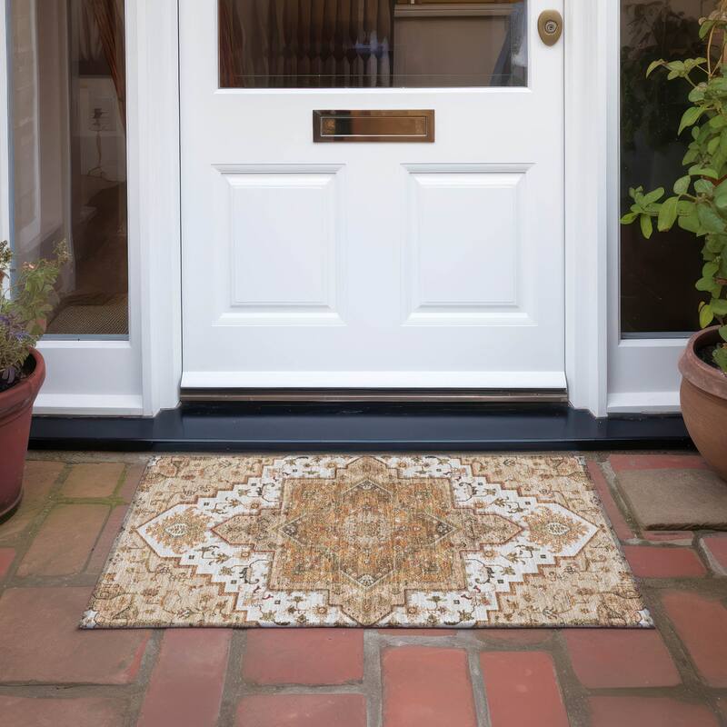 Machine Washable Indoor/ Outdoor Persian Traditional Chantille Rug