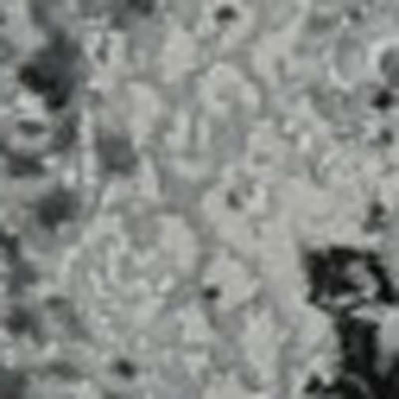 HomeRoots Abstract Contemporary Rectangle Area Rug - 5' X 8'