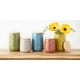 preview thumbnail 14 of 40, Matte Dimple Texture Ceramic Canister (Set of 2) - 3.25 Cup/5.75 Cup