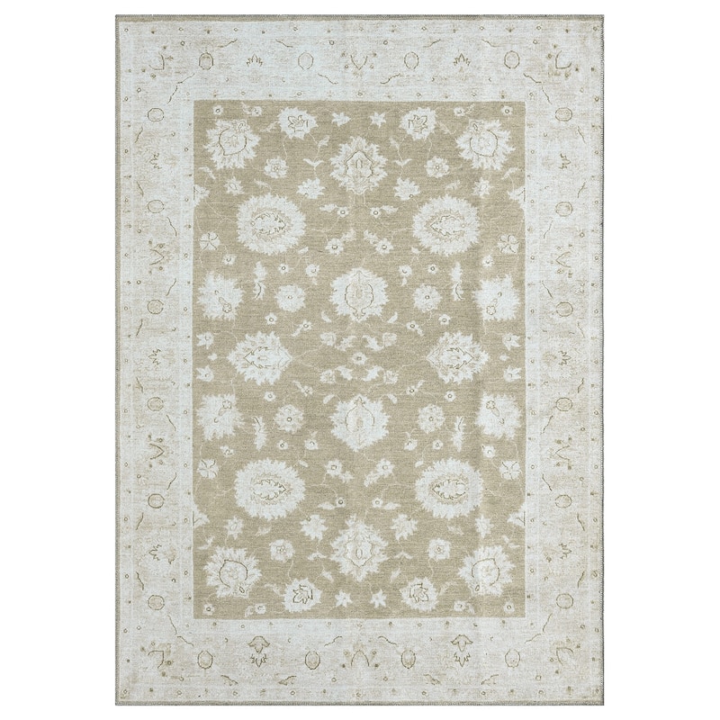 Legacy Petra Traditional Bordered Washable Area Rug