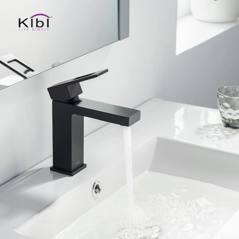 Single-handle Bathroom Vanity Sink Faucet w/ Water Hose