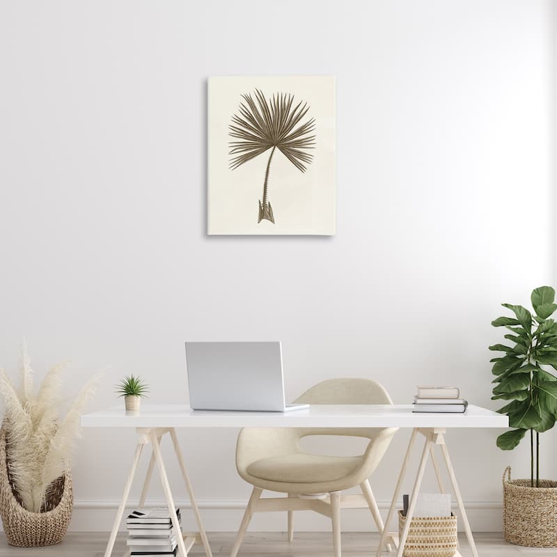 Stupell Vintage Study of Palm Leaf Canvas Wall Art Design By Phillipa Katz