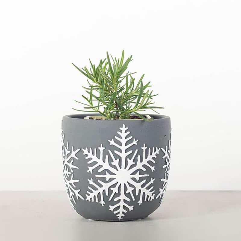 Gray With Snowflake Pattern Planter