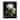 Stupell Hydrangea on Black Framed Floater Canvas Wall Art Design By Danhui Nai