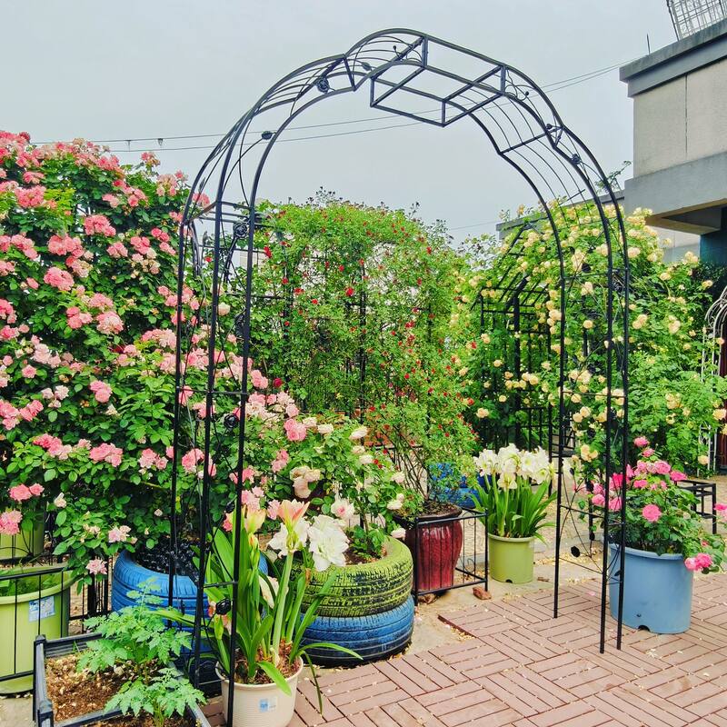Anmytek Metal Garden Arch with Intricate Scrollwork, Weather Resistant Black Finish, Climbing Plant Trellis for Roses, Clematis
