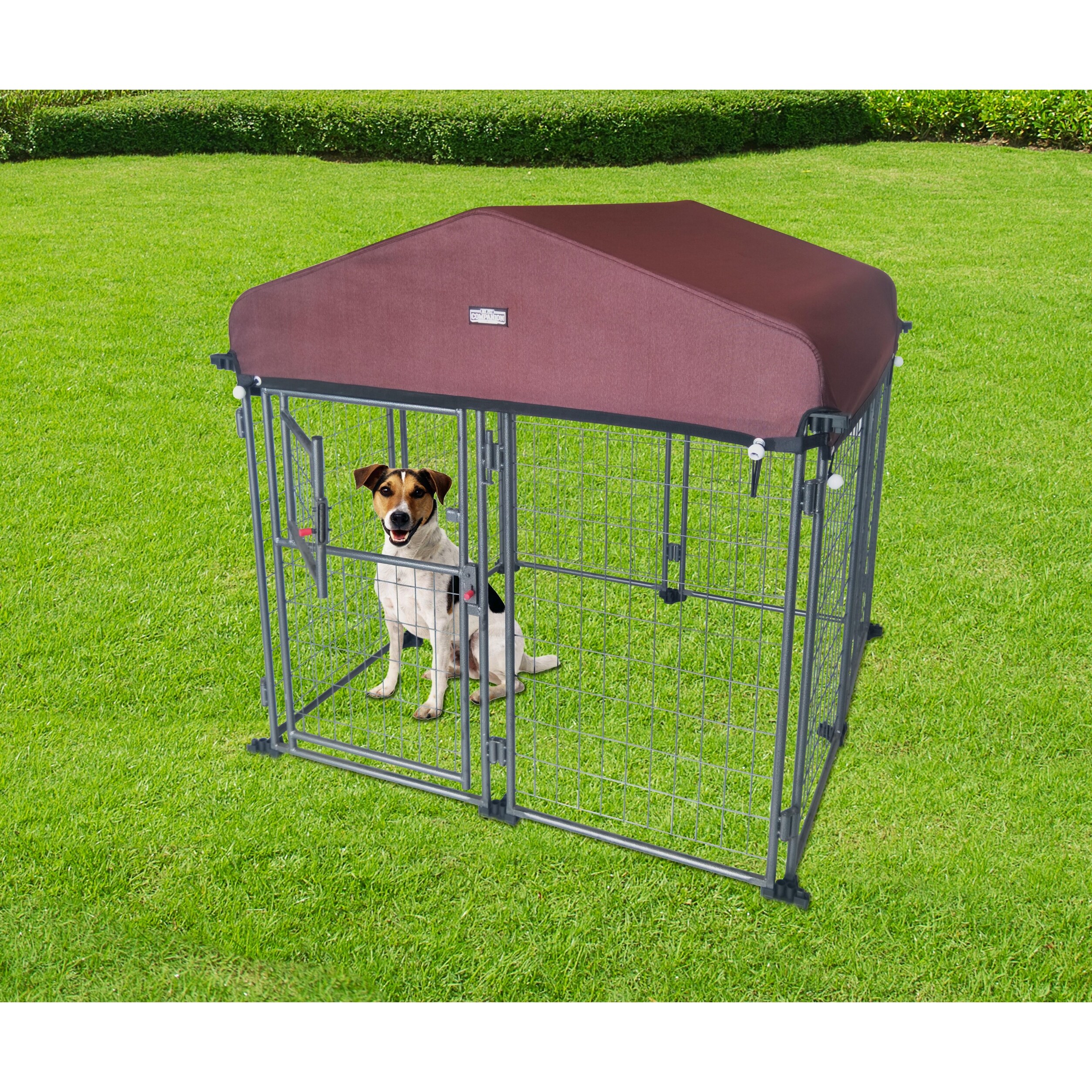 Neocraft my pet store companion outdoor dog kennel