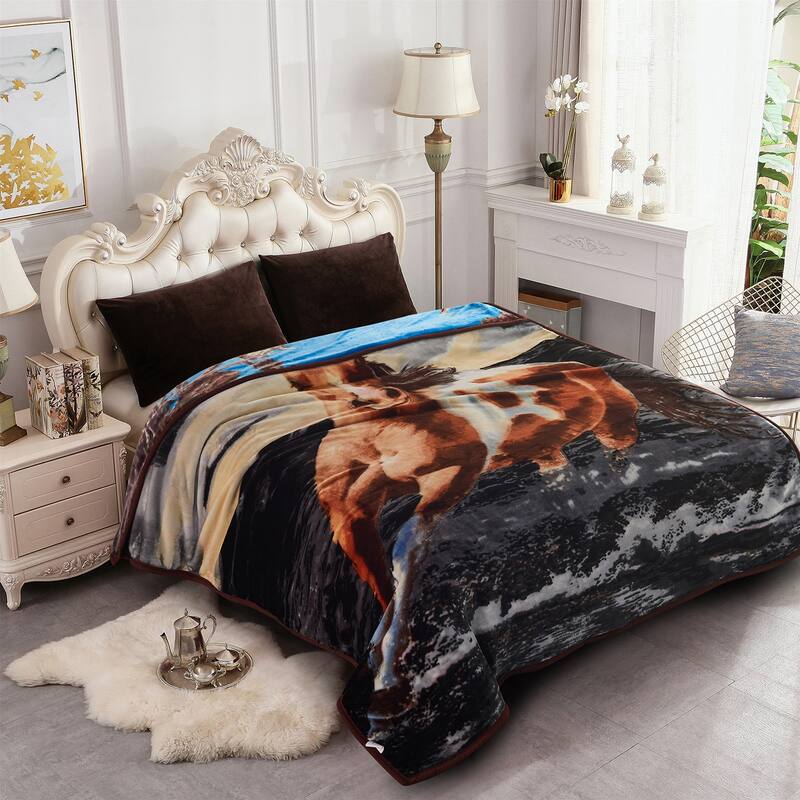 Raschel A&B Printed 2-ply Reversible Korean-style Plush Fleece Blanket
