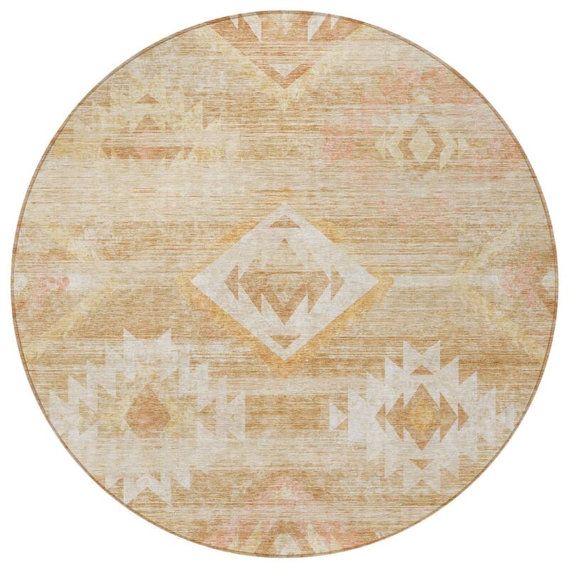 HomeRoots Southwestern Transitional Rectangle Outdoor Rug