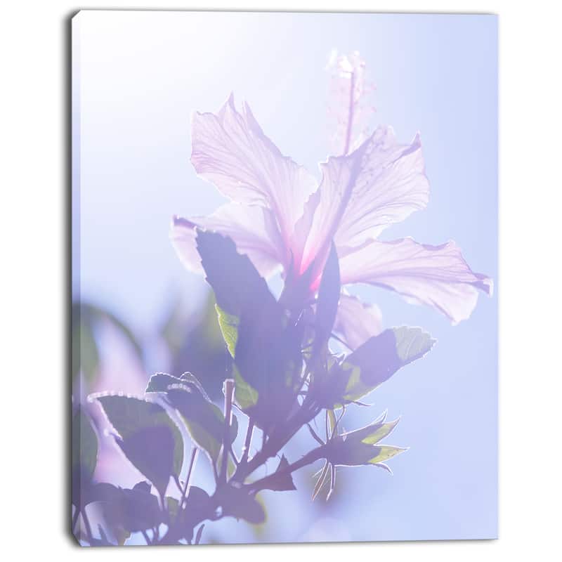 Designart "Pink Hibiscus Flower in Hawaii" Large Flower Canvas Art Print