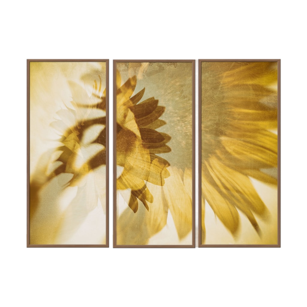 "Just like the Sun" Framed 3-Piece Wall Art Set by Sherin Abdou