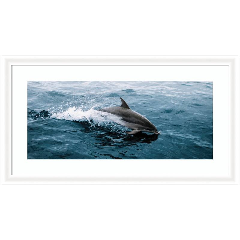 Kate and Laurel Framed Art Dolphin Skipping along in the Ocean Panel by Michael Schauer - 43x24 - White