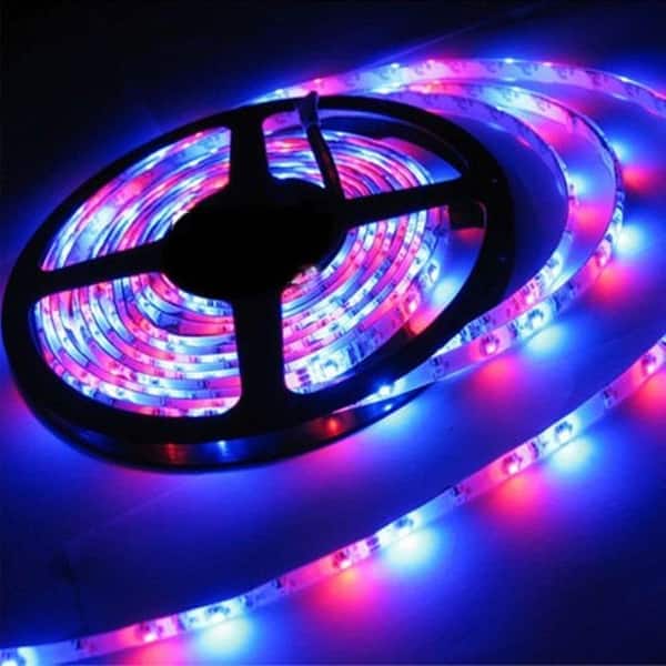 LED Flexible Strip Lights,Strip Lights - Medium - Overstock - 21493155