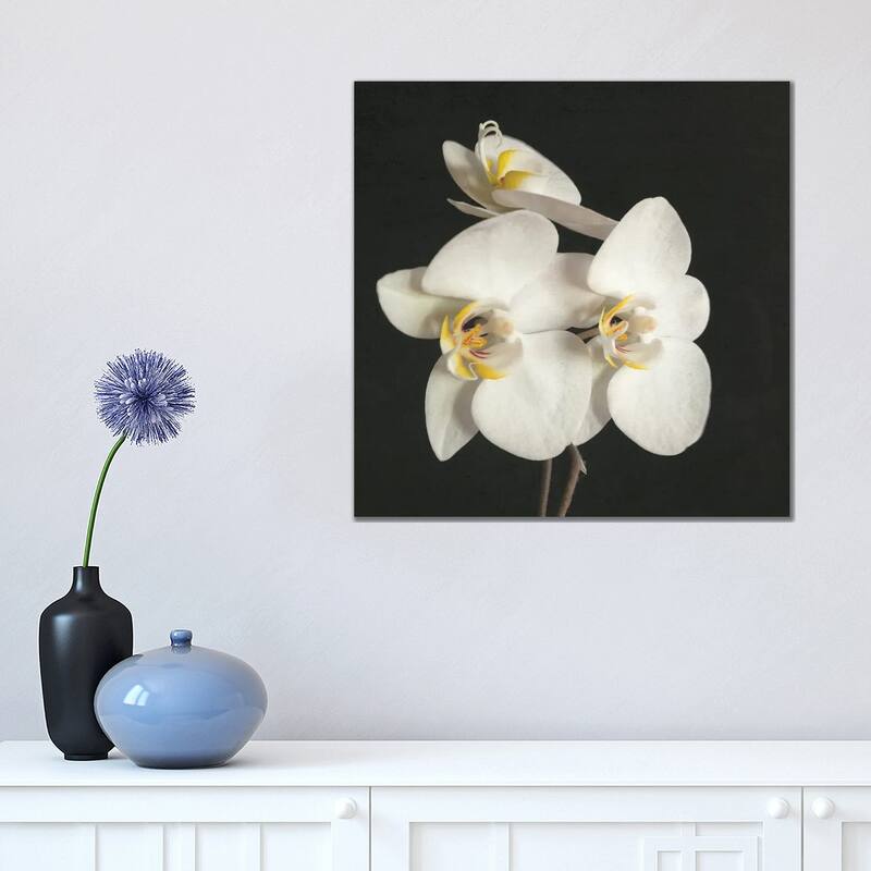 iCanvas "Black And White Orchid II" by Cassia Beck Canvas Print - 18x18x1.5