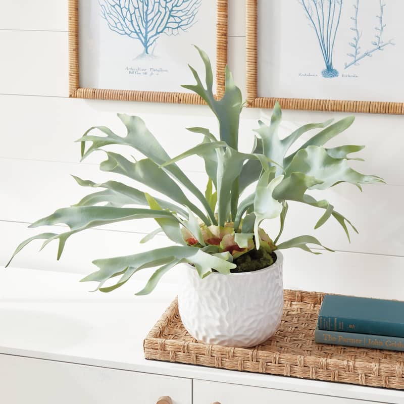 Staghorn Fern Drop-In 21" - Green